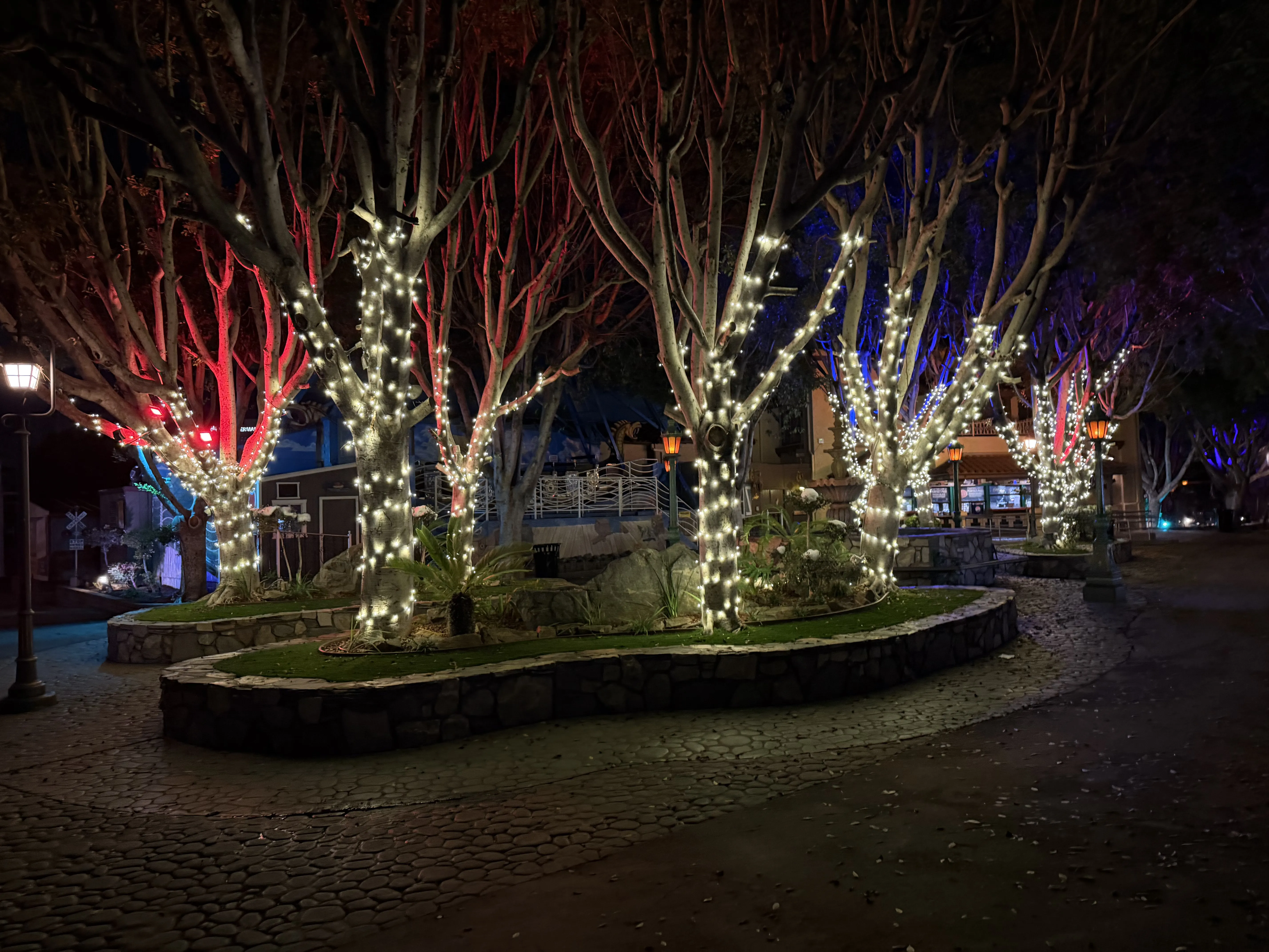 Christmas 2025 Lighting Install